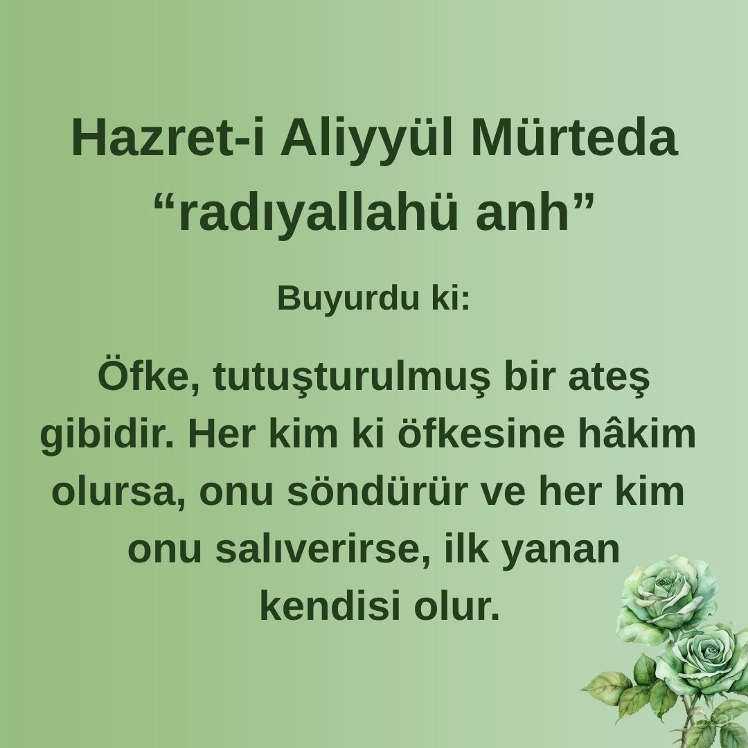 Aliyyül Mürteda (70)